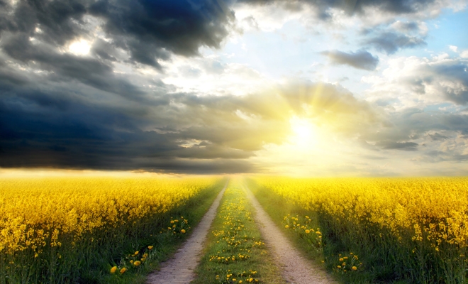 Jesus On Discipleship